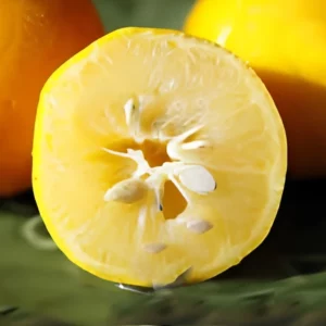The Hidden Value of Lemon Seeds