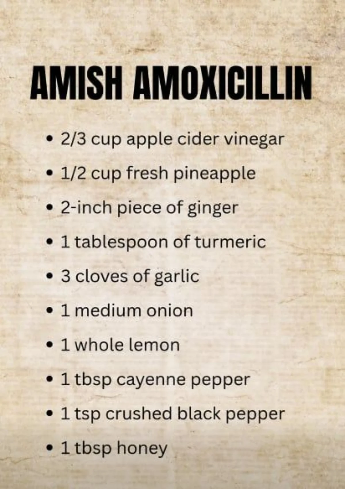 Amish amoxicillin recipe ingredients and potential immune support preparation