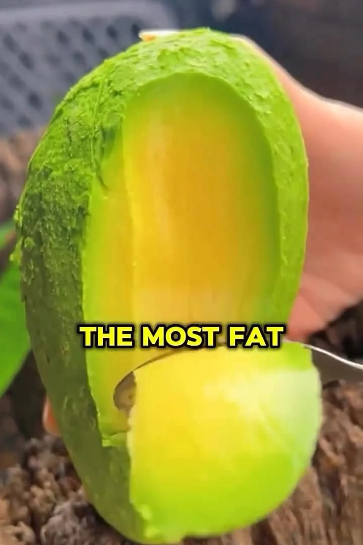 Fresh avocado slices showing the creamy green flesh and large seed, illustrating avocado nutrition facts most fat healthy.