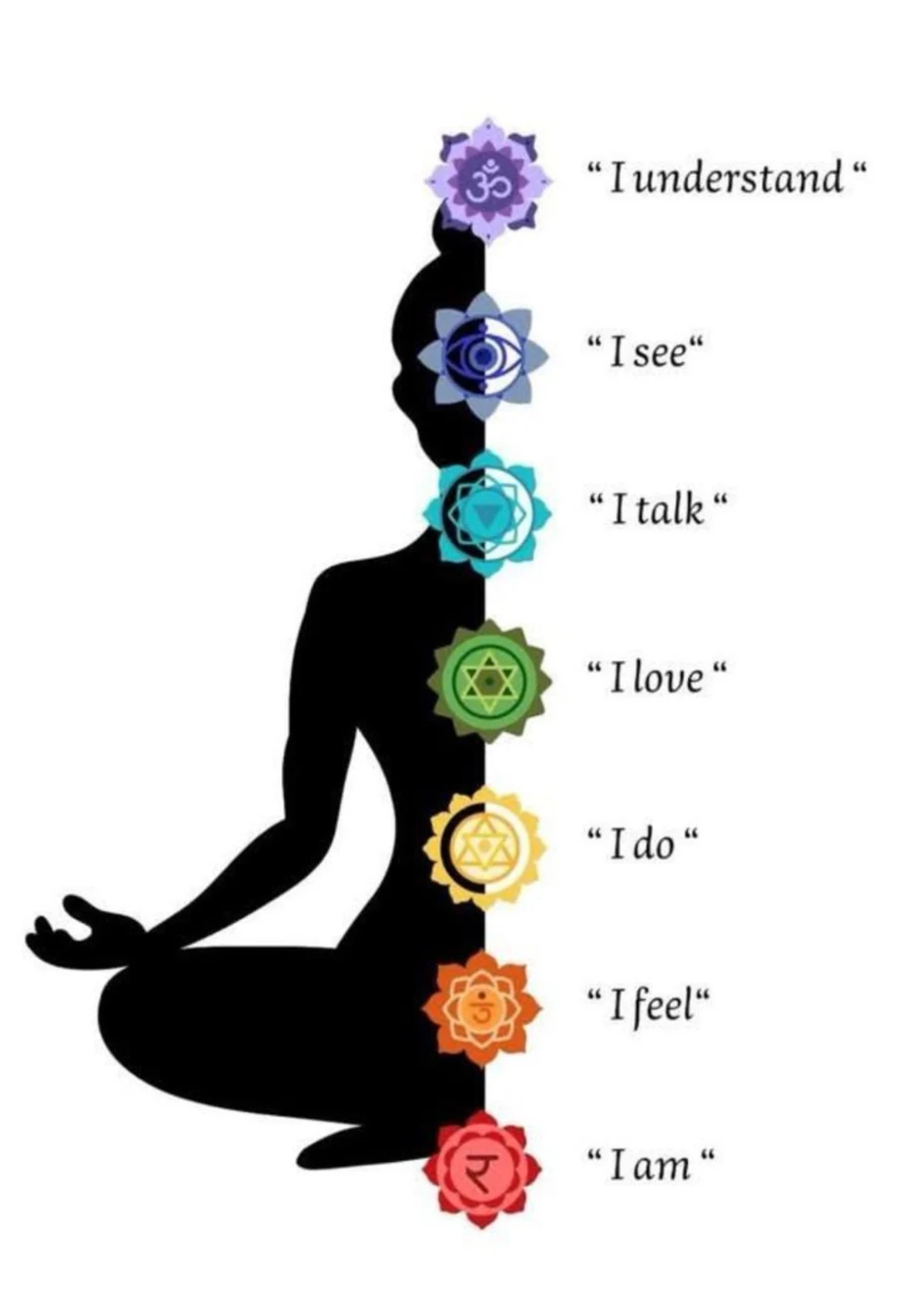 Illustrative diagram showing the seven chakra system stages arranged upward through the human body