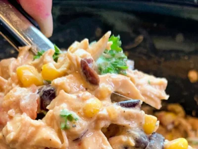 Fiesta Chicken Crock Pot Recipe