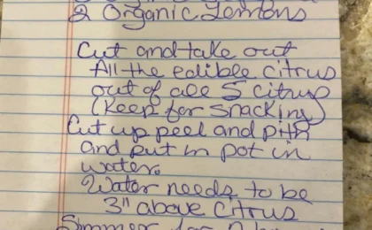 Citrus fruits used in a homemade ivermectin recipe.