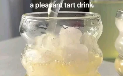 A clear pitcher of infused ginger lemon water surrounded by fresh lemons, sliced ginger root, and vibrant mint on a light.